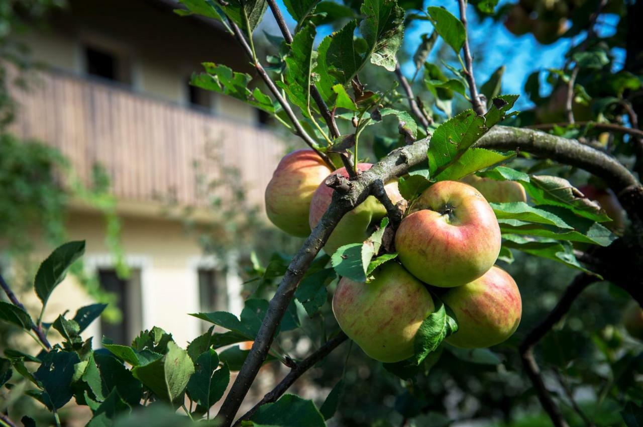 Pr'jernejc Agroturism Lesce (Upper Carniola)