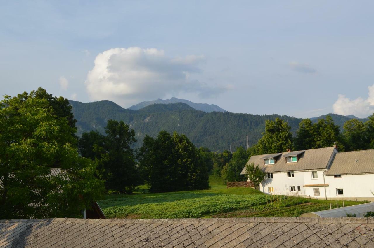 Farm stay Pr'jernejc Agroturism